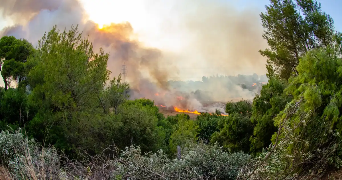 Incendio forestal en España con columnas de humo y familia evacuando con mochila de emergencia