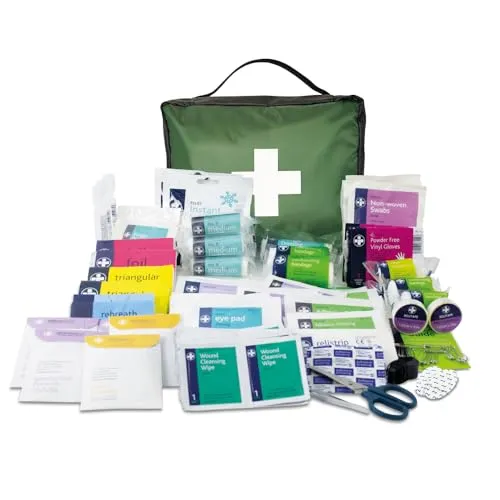 Lewis-Plast Kit Primeros Auxilios 309 Piezas - Normas Europeas